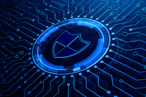 Export & Partnerships