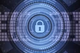 Export & Partnerships